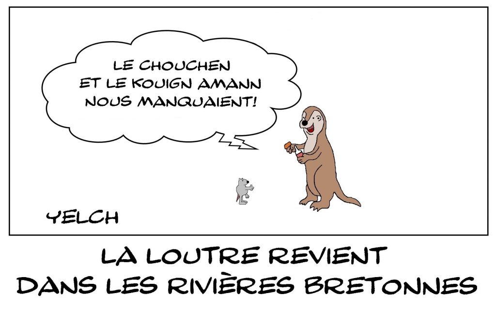 dessins humour Bretagne image drôle loutre rivière