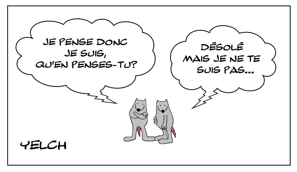 dessins humour philosophie image drôle je pense donc je suis