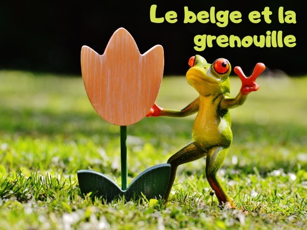 humour, blague Belge, blague grenouille, blague magie, blague princesse, blague métamorphose, blague parole