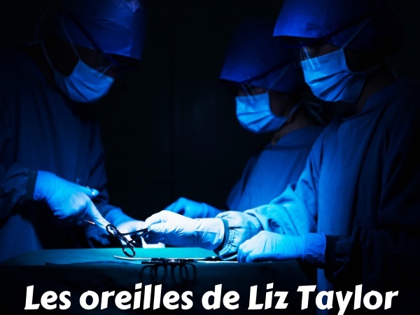 blague Liz Taylor, blague célébrités, blague chirurgie esthétique, blague chirurgiens, blague Nicky Lauda, blague vagin, humour