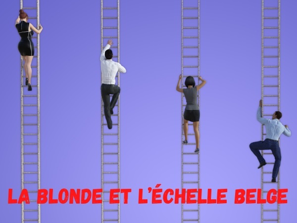 humour, blague blondes, blague belges, blague échelle, blague danger, blague avertissement, blague stop