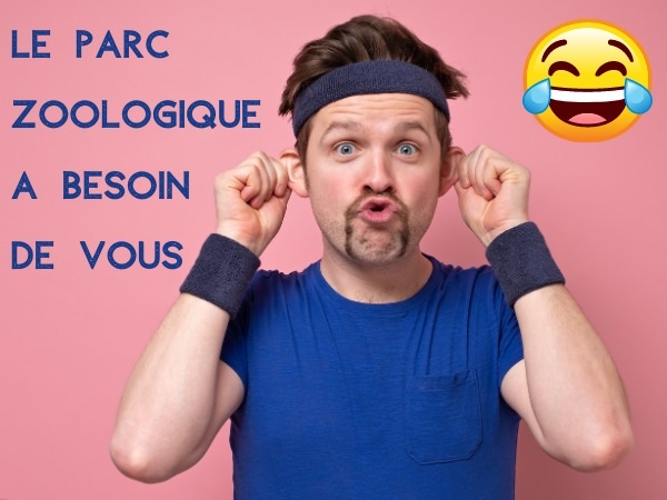 humour, blague parc, blague zoo, blague parc zoologique, blague singe, blague animaux, blague mortalité, blague remplacement, blague grimace, blague SPA, blague humain, blague expression, blague intelligence