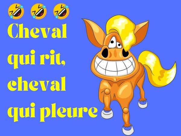 blague cheval, blague cheval de course, blague tristesse, blague sexe, blague taille du sexe, blague sexe de cheval, humour