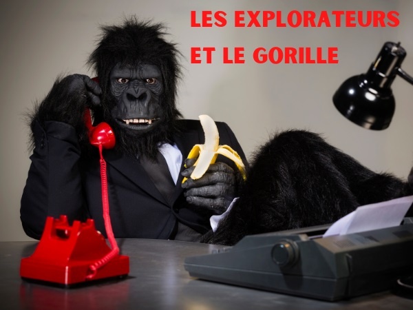 humour, blague sur les explorateurs, blague sur les gorilles, blague sur les belles-mères, blague sur les singes, blague sur les unions, blague sur les couples