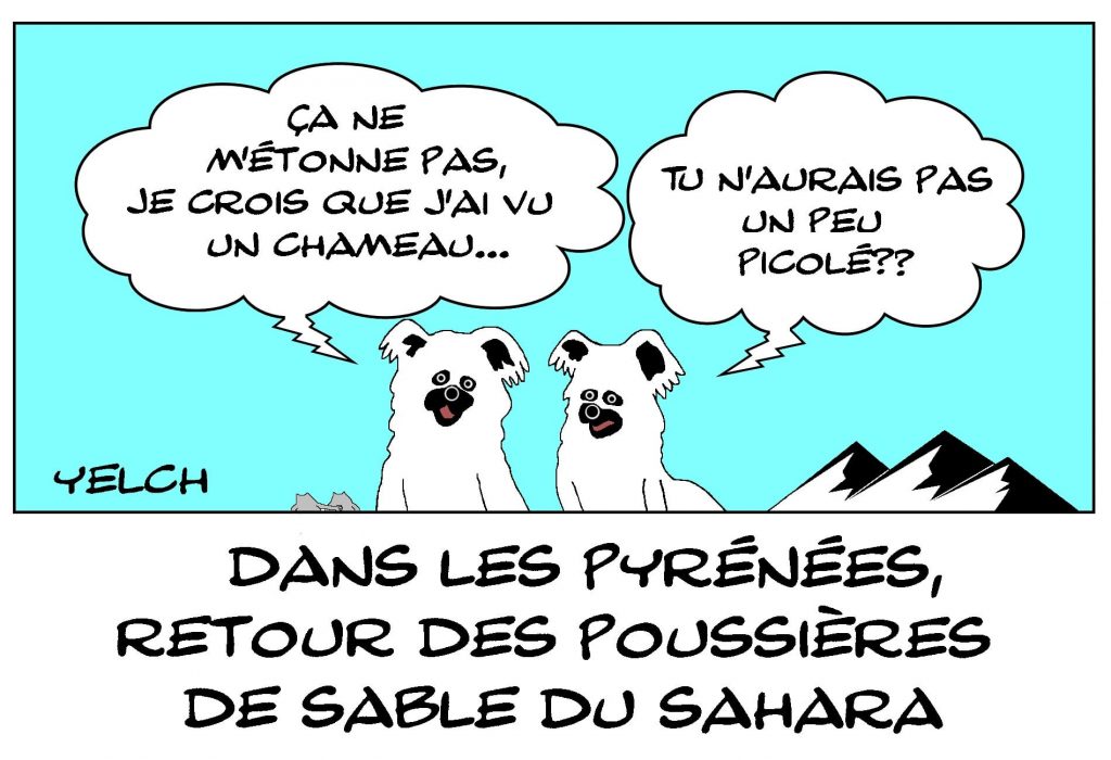 dessins humour Pyrénées vent sable image drôle Sahara