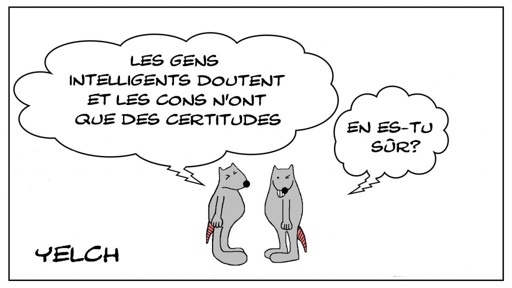 dessins humour intelligence doute image drôle con certitude