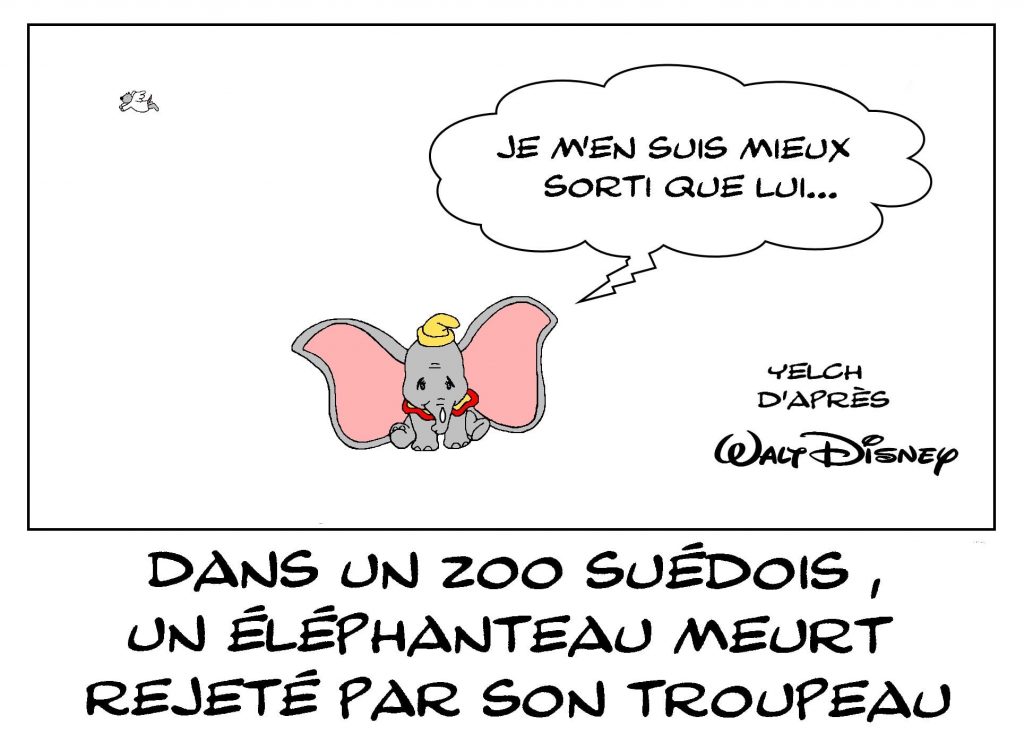dessins humour zoo Suède image drôle mort éléphanteau Dumbo
