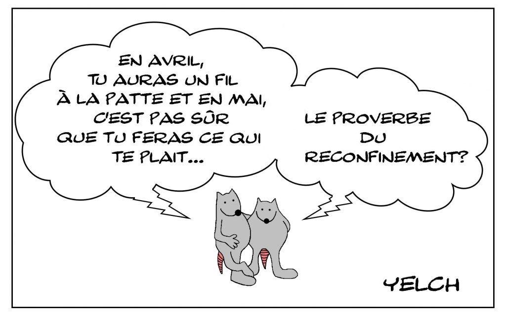 dessins humour coronavirus covid19 image drôle reconfinement proverbe confinement