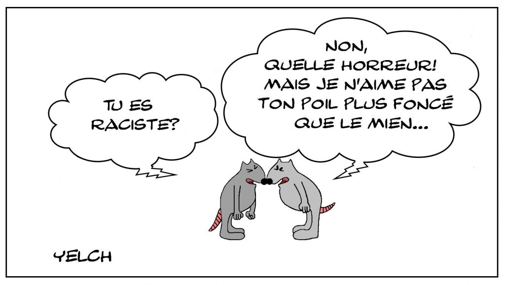 dessins humour racisme raciste image drôle rat couleur