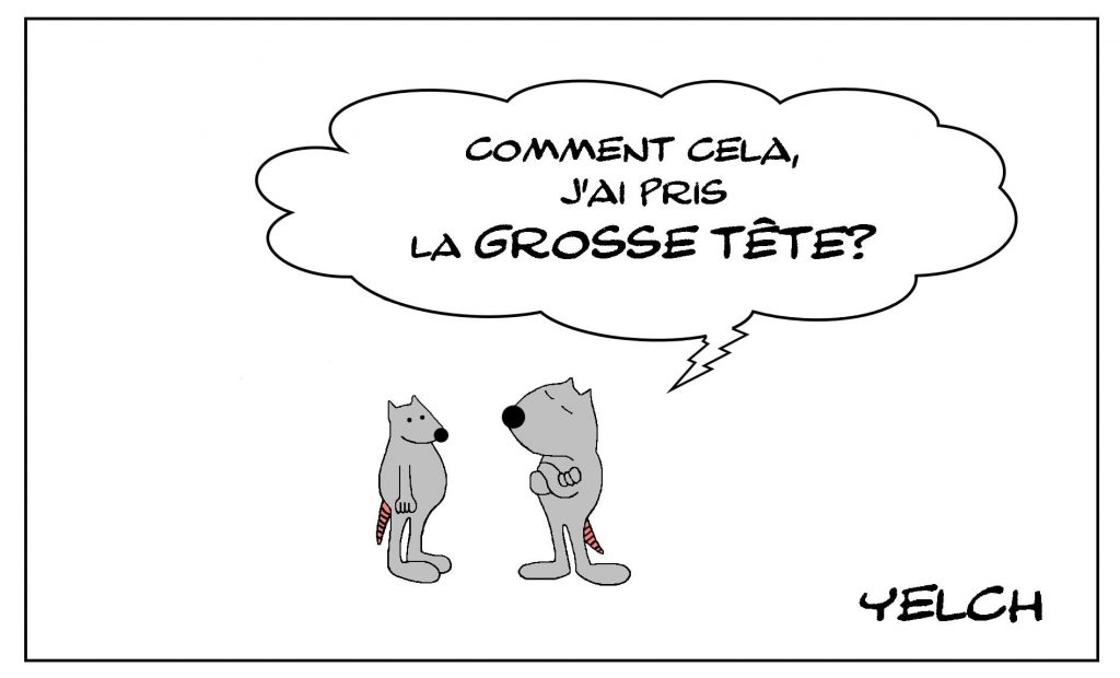 dessins humour expression française image drôle prendre la grosse tête
