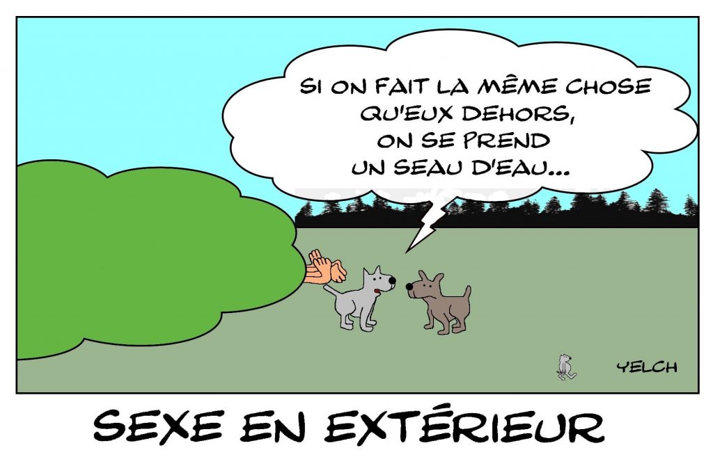 dessins humour chien seau d’eau image drôle sexe extérieur