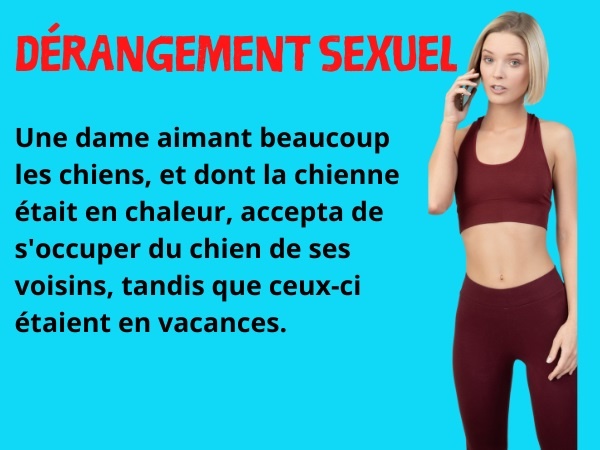 blague chien, blague accouplement, blague sexualité, blague vétérinaire, blague sexe, blague érection, blague téléphone, humour