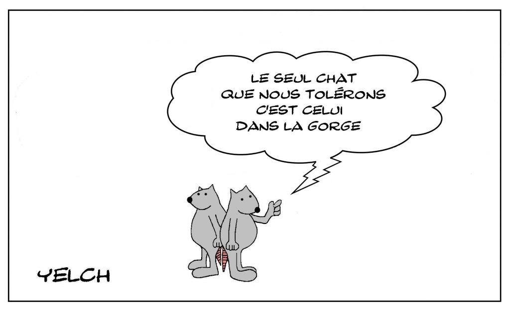 dessins humour expressions image drôle chat dans la gorge