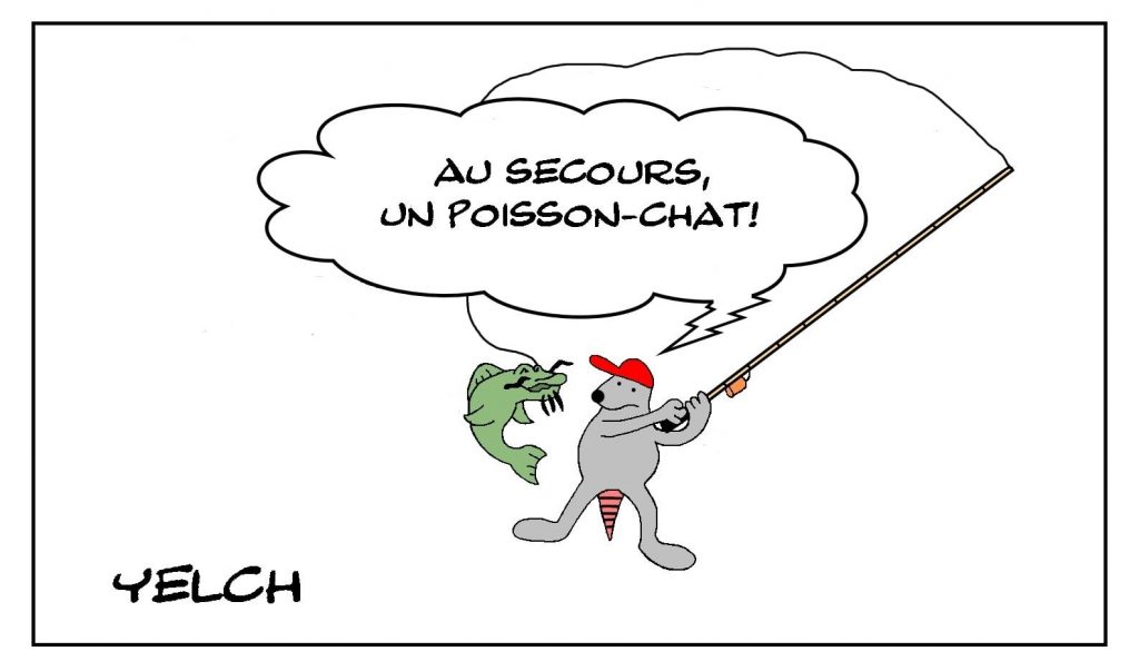 dessins humour rat pêche image drôle poisson-chat