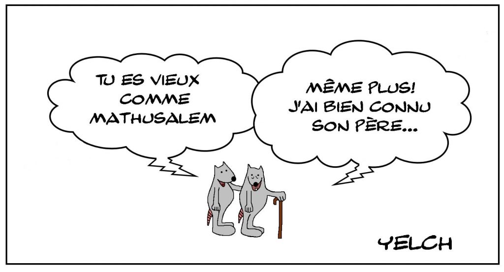 dessins humour expressions françaises image drôle vieux Mathusalem