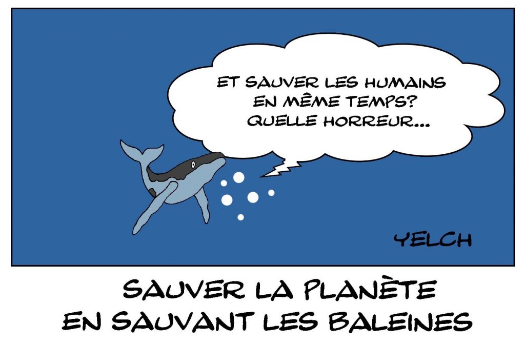 dessins humour sauver planète écologie image drôle sauver baleines