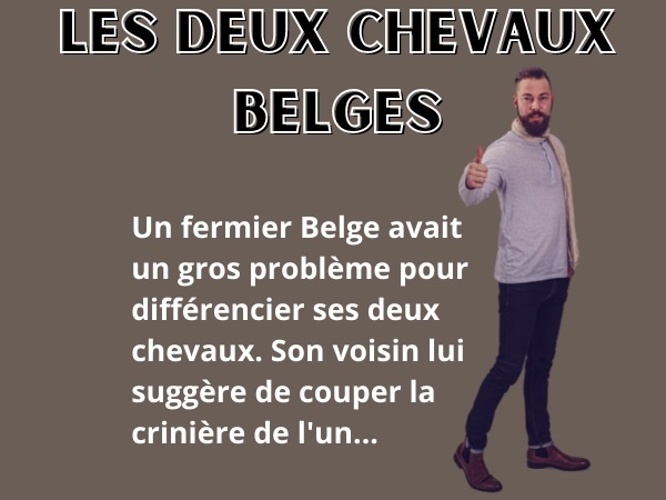 blague sur les Belges, blague Belges, blague fermiers, blague paysans, blague chevaux, blague différence, blague taille, blague couleur, blague animaux, blague crinière, blague queue, humour