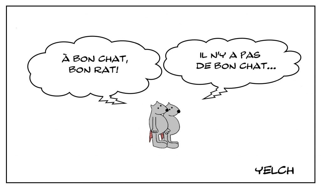 dessins humour bon chat image drôle bon rat