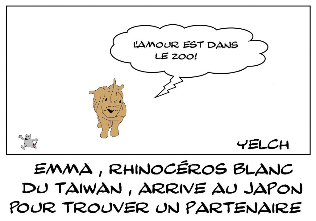 dessins humour rhinocéros blanc Taïwan image drôle zoo Japon partenaire