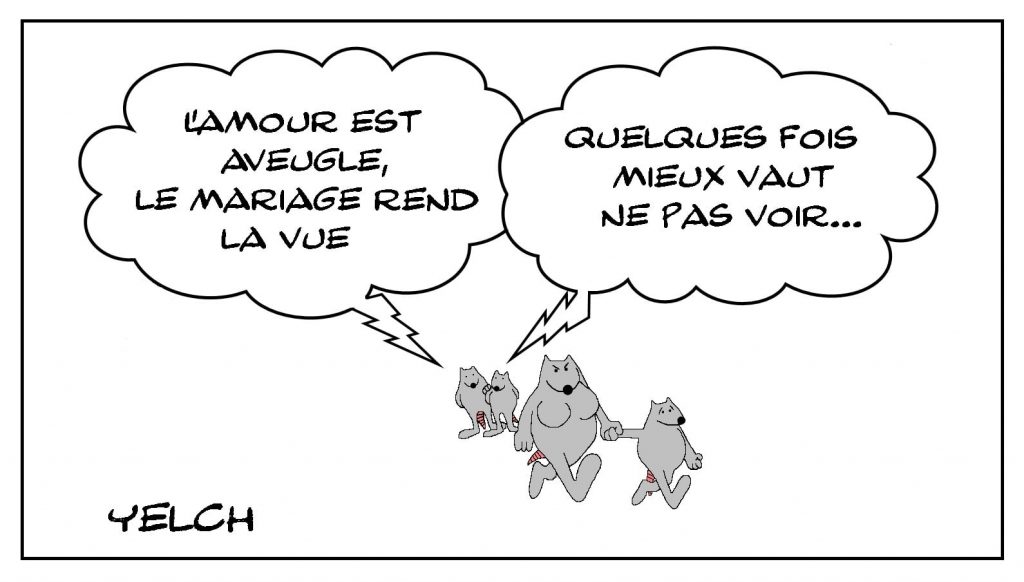 dessins humour amour aveugle image drôle mariage vue