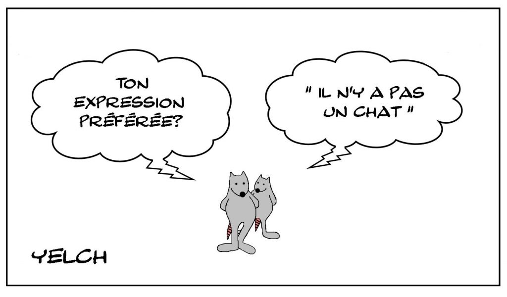 dessins humour expressions françaises image drôle pas un chat