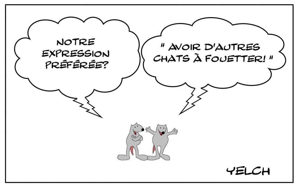 dessins humour expressions françaises image drôle chat fouetter
