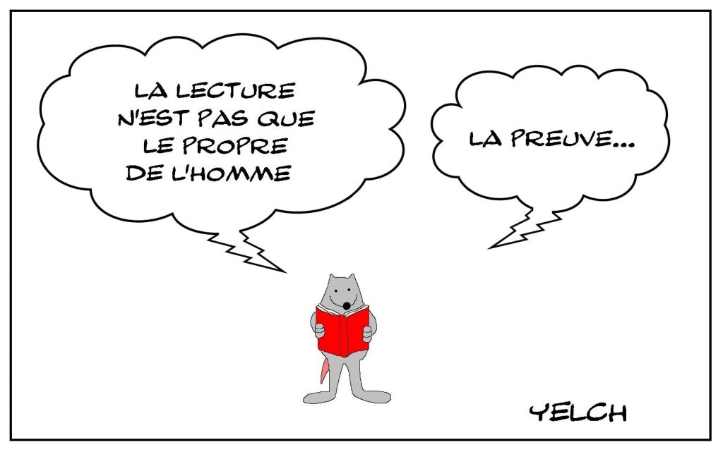 dessins humour lecture homme image drôle rat livre