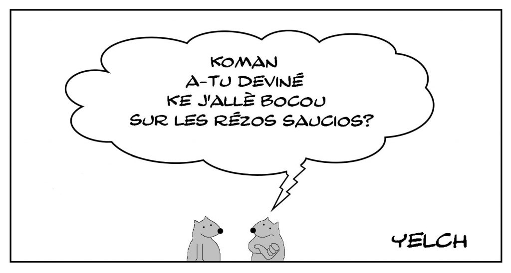 dessins humour orthographe grammaire image drôle réseaux sociaux