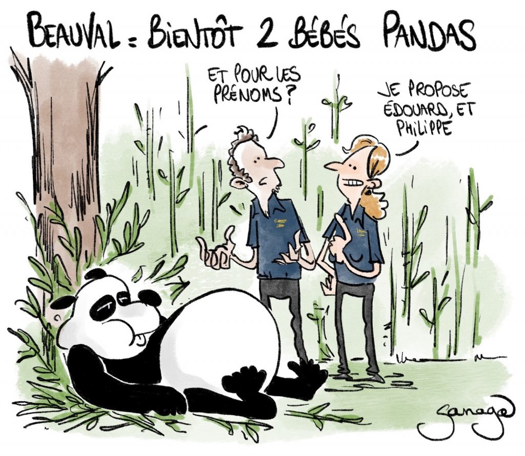 dessin presse humour ZooParc de Beauval image drôle naissance panda Édouard Philippe
