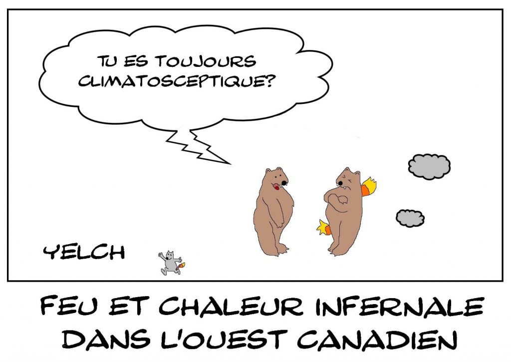 dessins humour Canada canicule image drôle chaleur infernale incendie