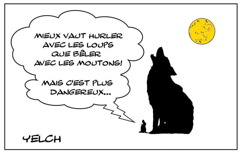 dessins humour hurlement loup image drôle bêlement mouton