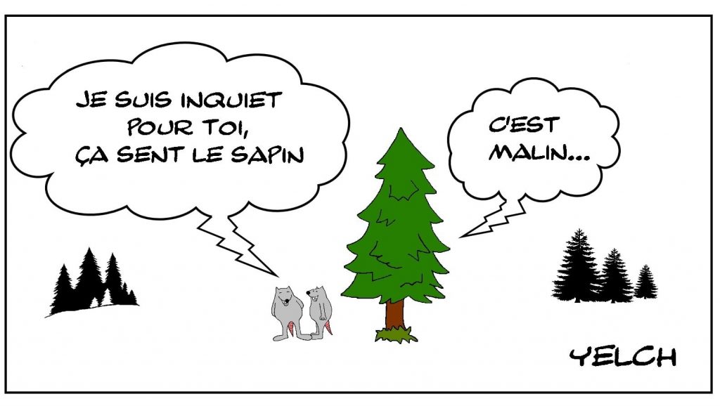 dessins humour expression image drôle sentir le sapin