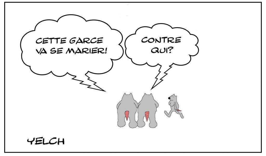 dessins humour mariage image drôle garce