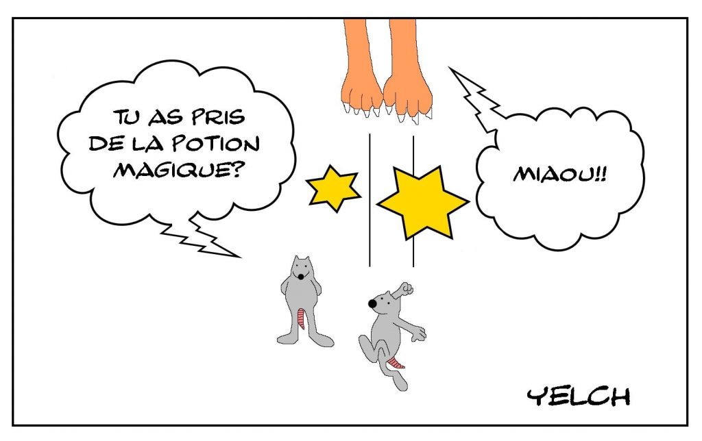 dessins humour rat potion magique image drôle chat
