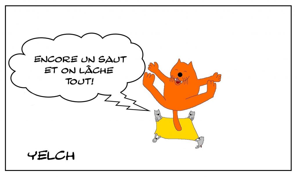 dessins humour saut trempoline image drôle chat lâchage