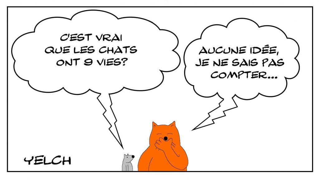 dessins humour chat vies image drôle comptage