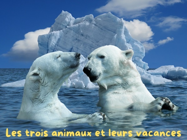blague ours, blague dauphin, blague hippopotame, blague Deauville, blague français, blague vacances, humour