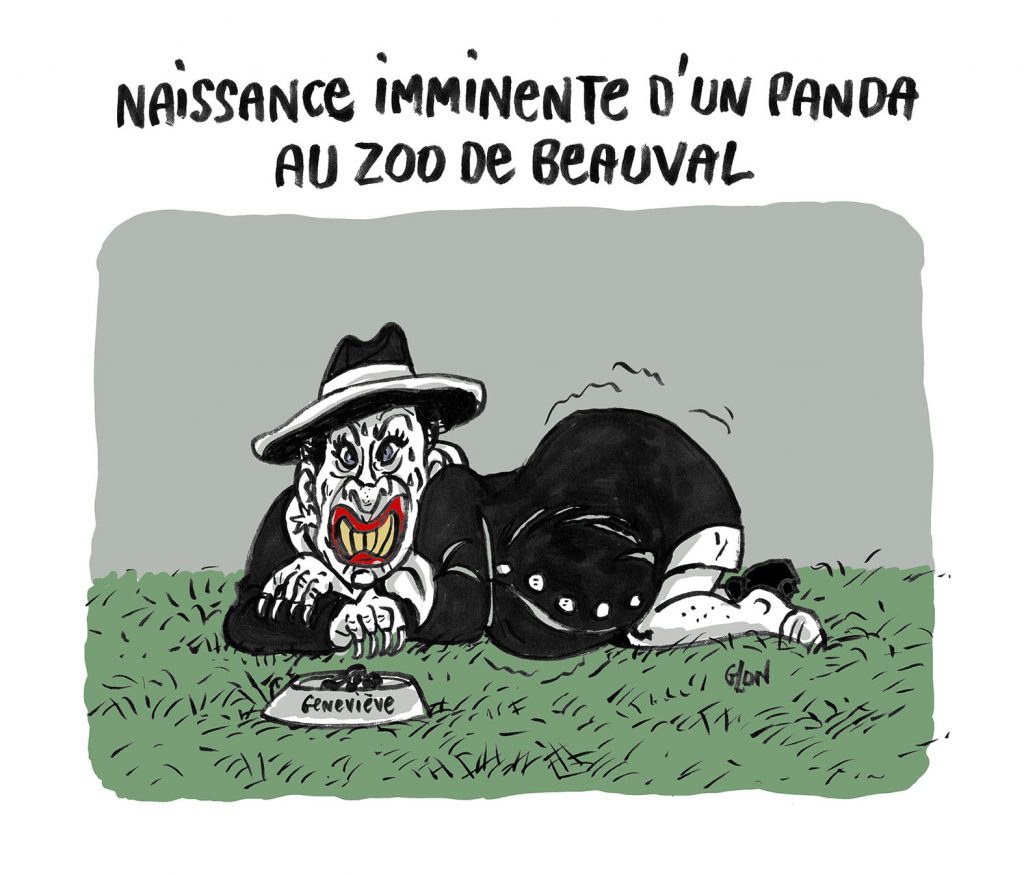 dessin presse humour ZooParc de Beauval image drôle naissance panda Geneviève de Fontenay