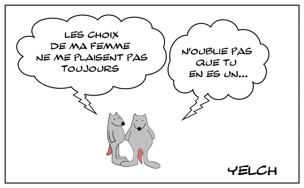 dessins humour choix femme image drôle préférence