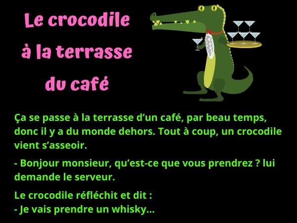 blague crocodiles, blague croco, blague café, blague terrasse, blague whisky, blague bière, humour