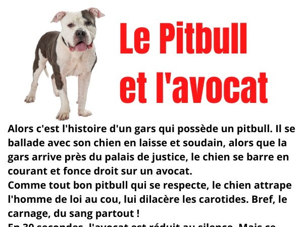 blague chien, blague pitbull, blague palais de justice, blague carnage, blague mauvais goût, blague carotide, humour