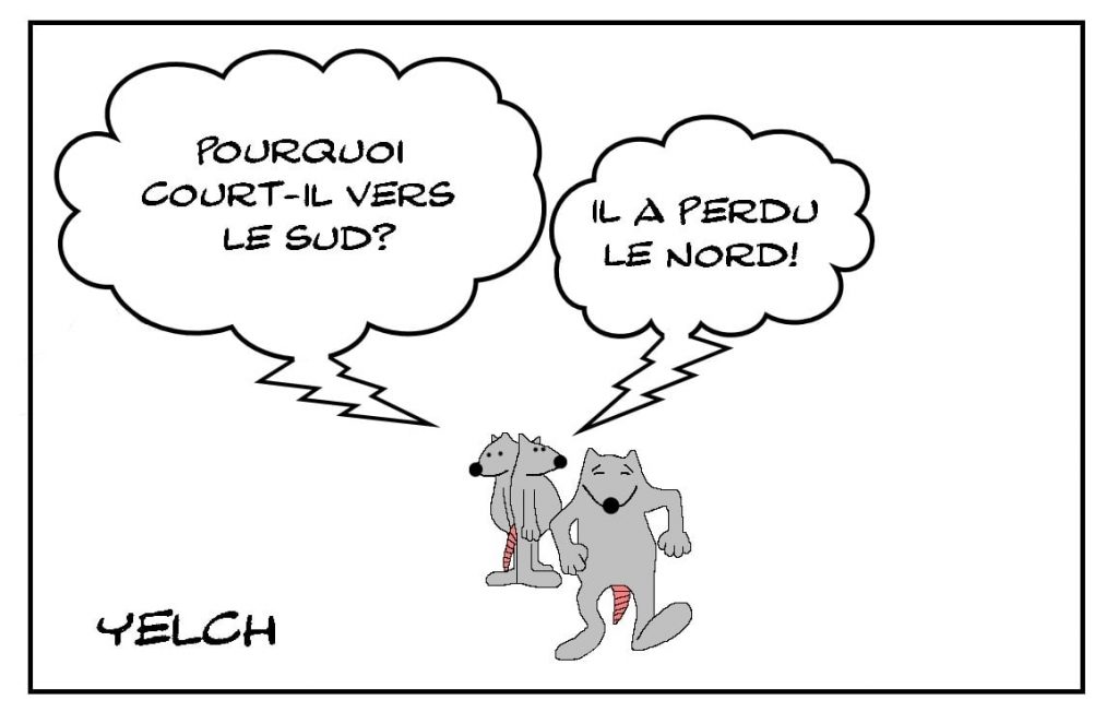 dessins humour expression française image drôle perdre le nord