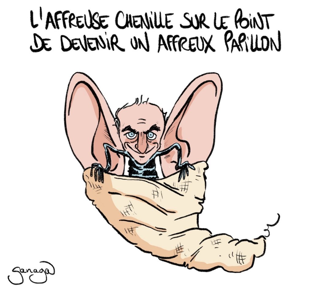 dessin presse humour Éric Zemmour chenille papillon image drôle candidature présidentielle 2022