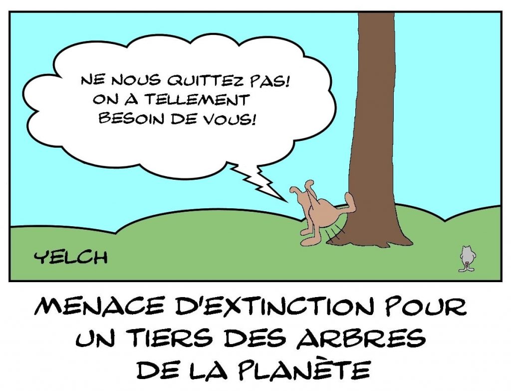 dessins humour menace extinction image drôle arbres planète