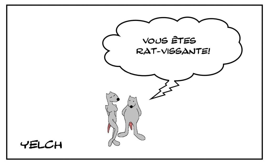 dessins humour beauté compliment image drôle ravissante