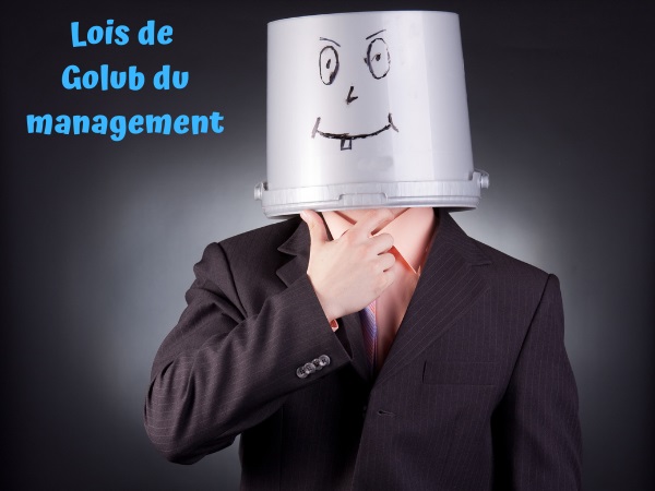 blague Golub, blague loi de Golub, blague management, blague entreprenariat, blague loi de Murphy, blague manager, humour drôle