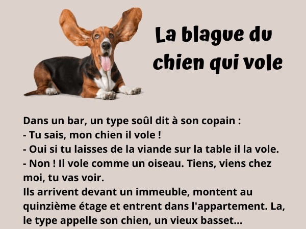 blague chien, blague oiseau, blague obéissance, blague alcool, blague gore, blague chute, humour drôle