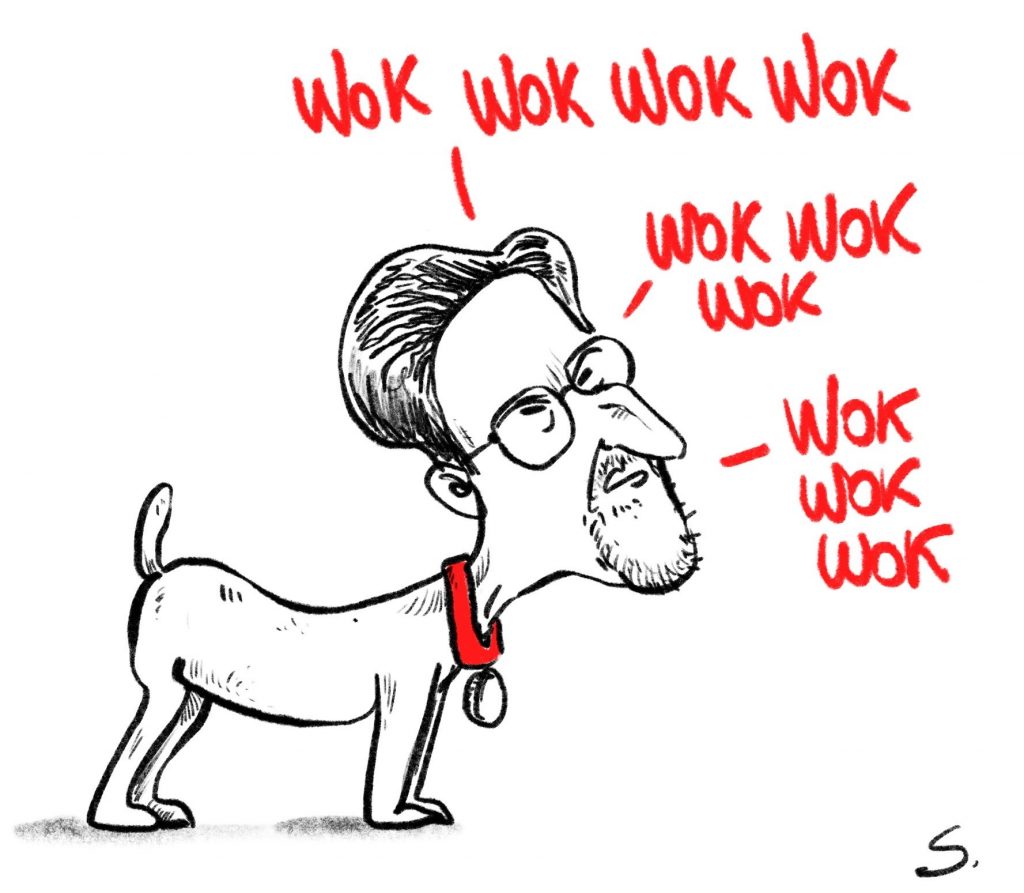 dessin presse humour Brice Couturier image drôle woke wokisme