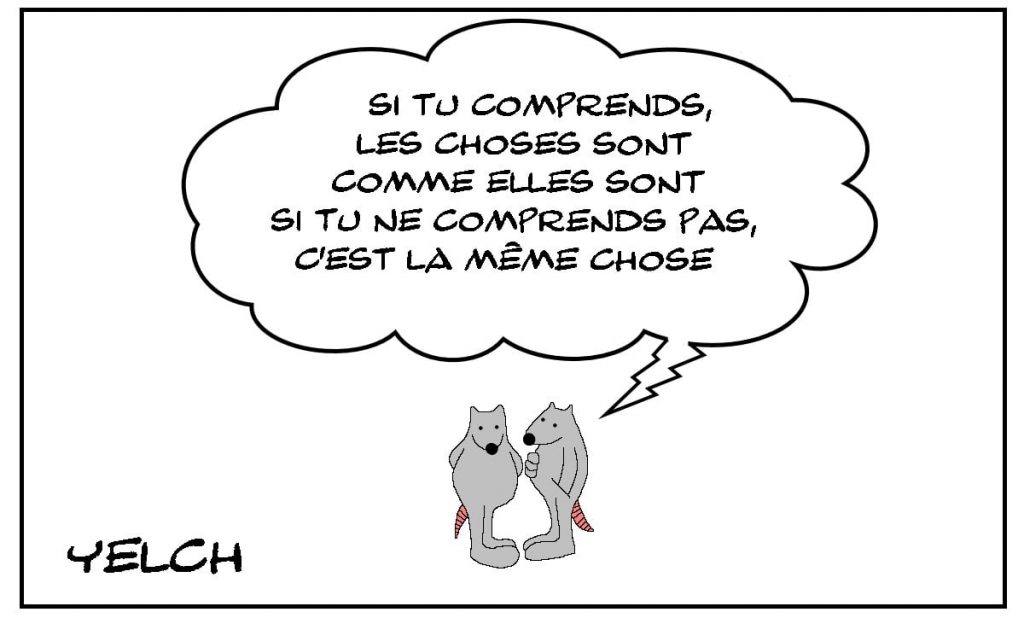 dessins humour choses image drôle compréhension