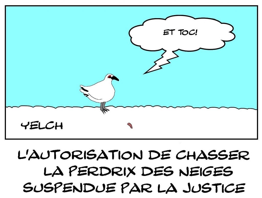 dessins humour suspension chasse image drôle perdrix des neiges